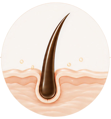 Smooths hair texture