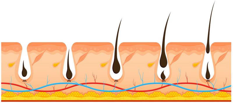 How Our Hair Growth Topical Solution Helps You Grow Healthier Hair