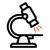 Research-Backed Ingredients