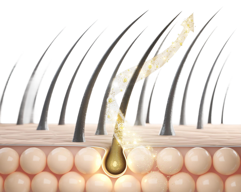 How Our Hair Growth Products Work