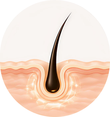 Hair Fall Control