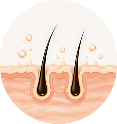 Scalp Nourishment