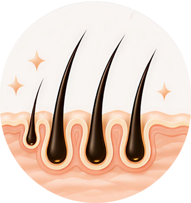 Stronger, Fuller Hair