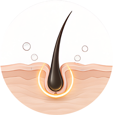 Scalp Activation Begins
