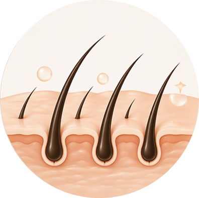Healthy Scalp